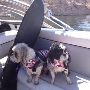 Meet your Posher, Rita